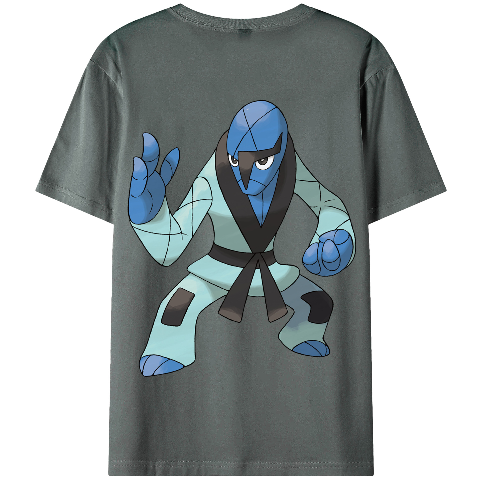 （画像用） ポケットモンスター Pokémon 綿100％半袖Tシャツ（背面プリント）